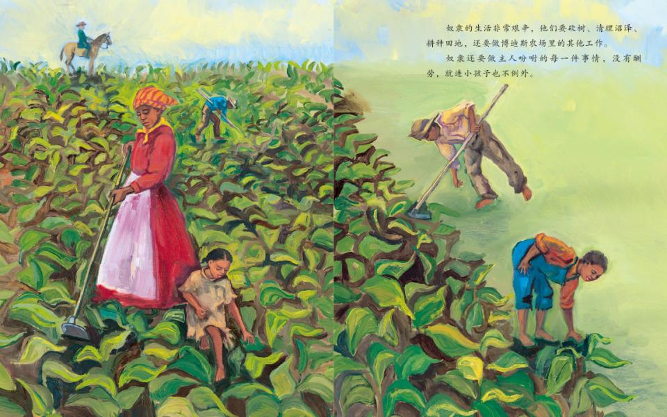 自由的苹果 (04),绘本,绘本故事,绘本阅读,故事书,童书,图画书,课外阅读